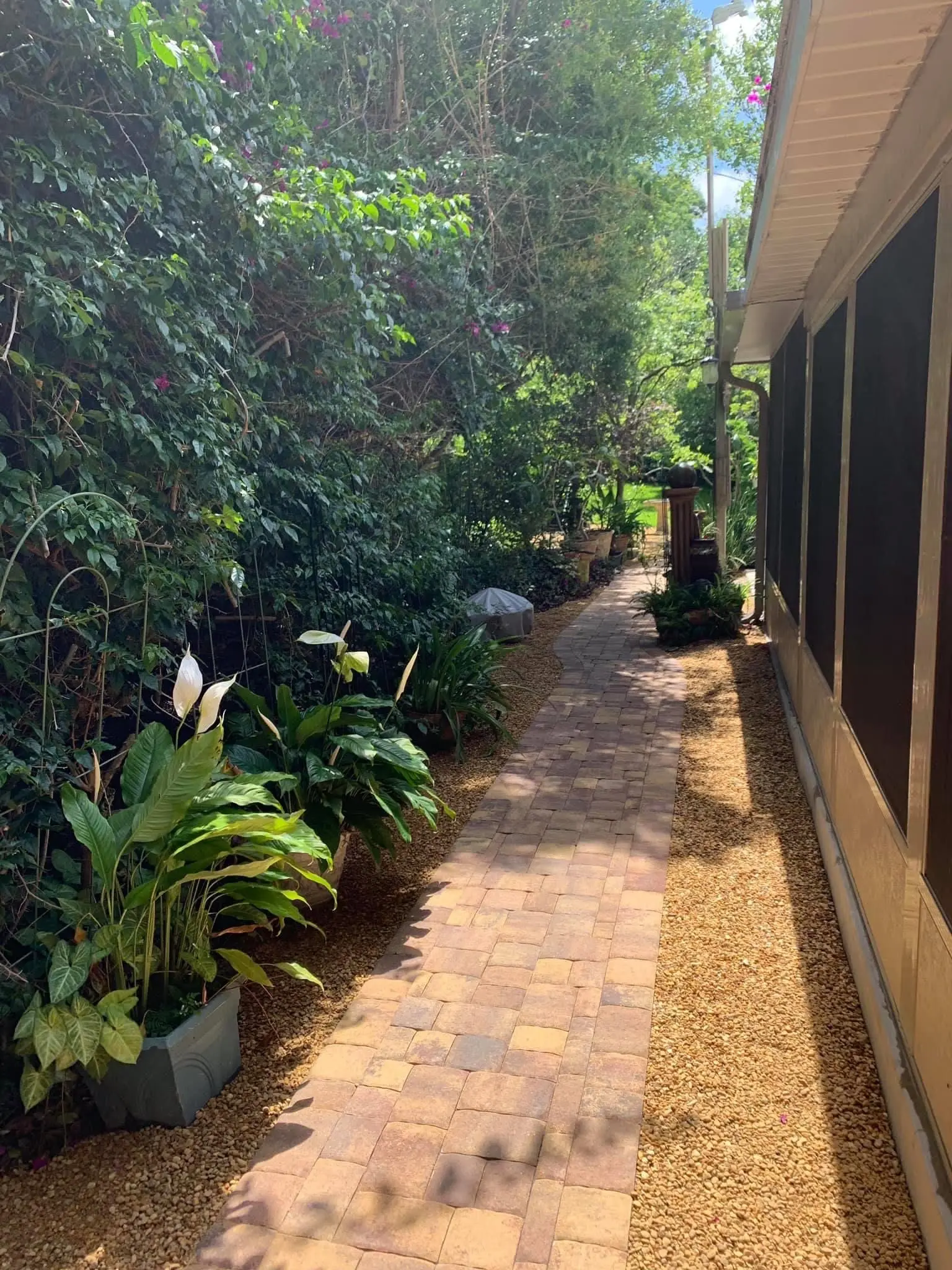 Green Yards completed lawn and landscape project 26